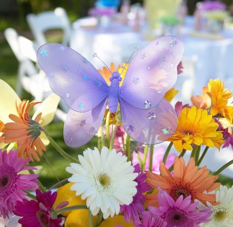 Butterfly Wedding Theme Favors